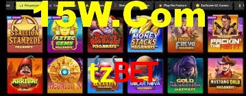 Premium Interface tzbet